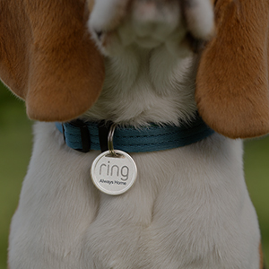 Ring Pet Tracker image