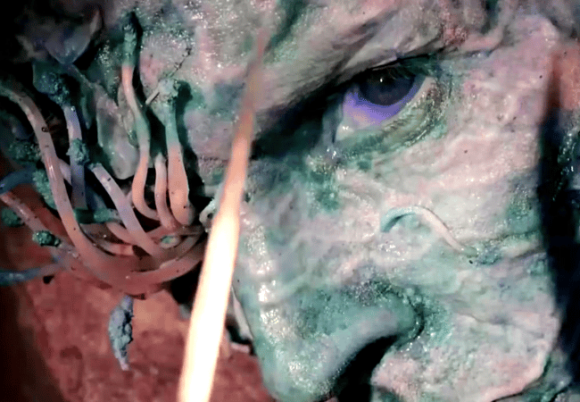 Could The Last of Us fungus nightmare come true?!