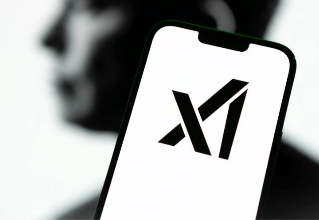 Elon Musk's xAI: Seeking Answers