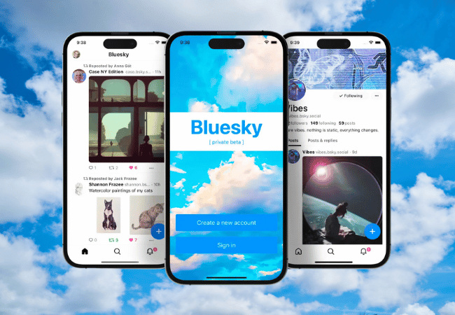 Twitter Users Flock to Bluesky