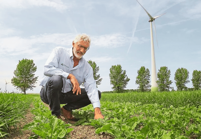 Dutch Farms Go Eco