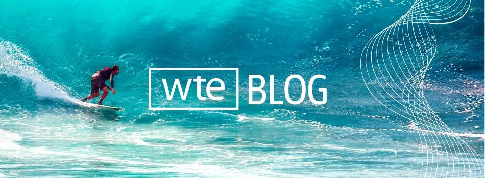 WTE blog surfer image