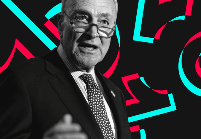 Boomer Schumer wants to Ban Tiktok