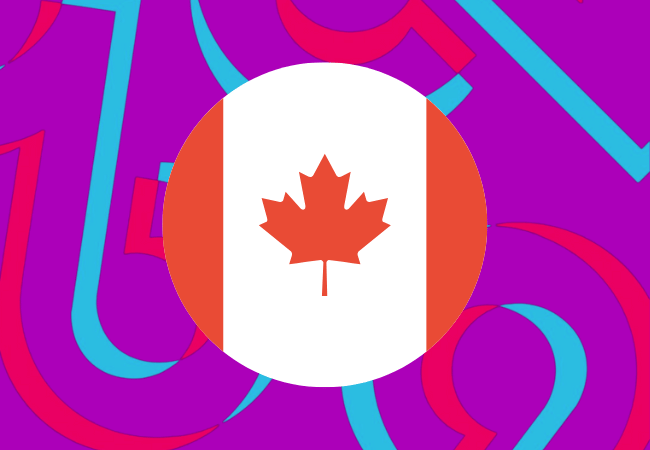 TikTok Privacy Problems Head North